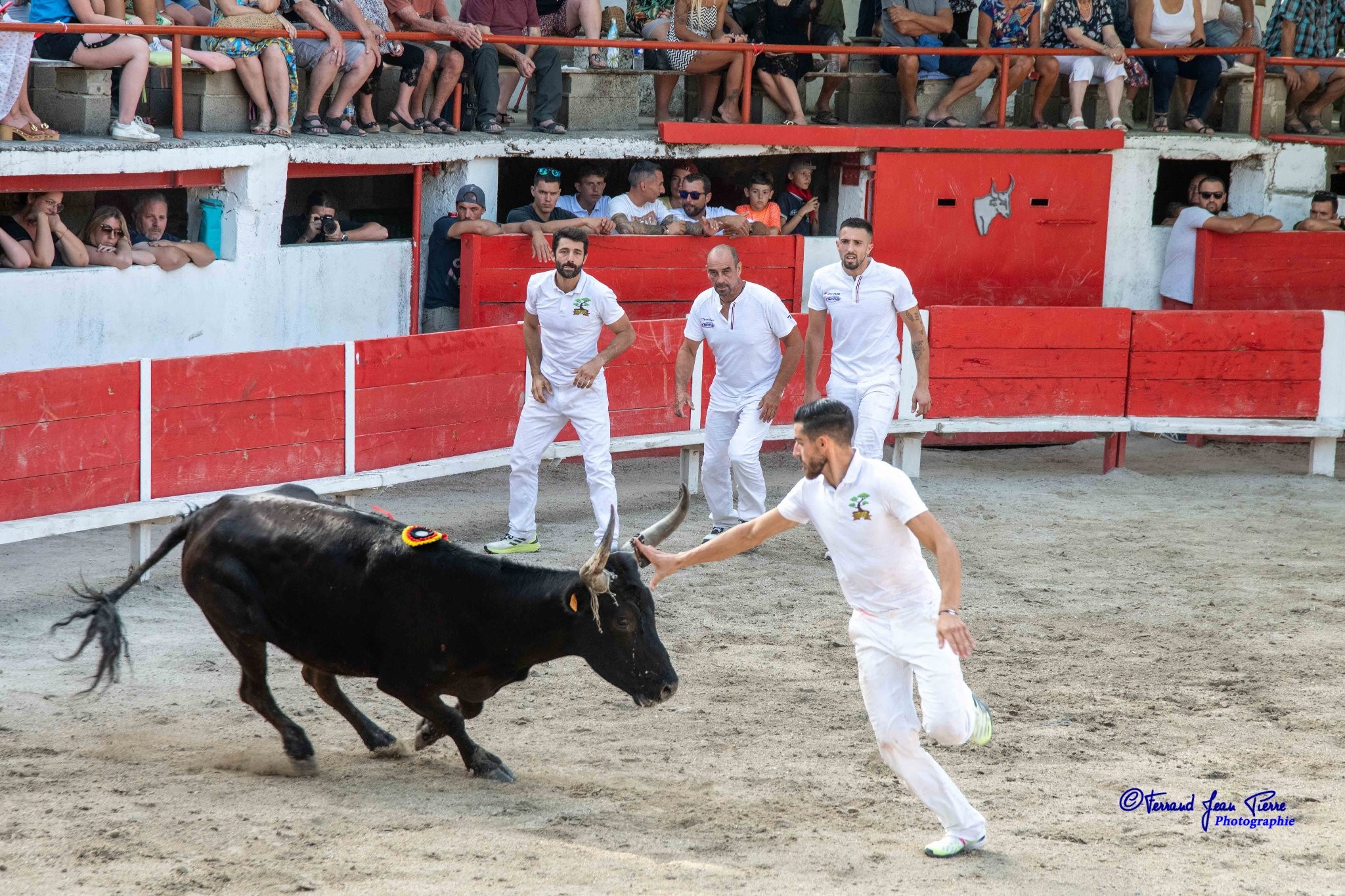 Taranis lautier f garcia