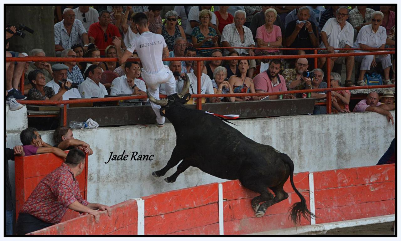 Targueur Plo Enzo Bernard Photo Jade Ranc