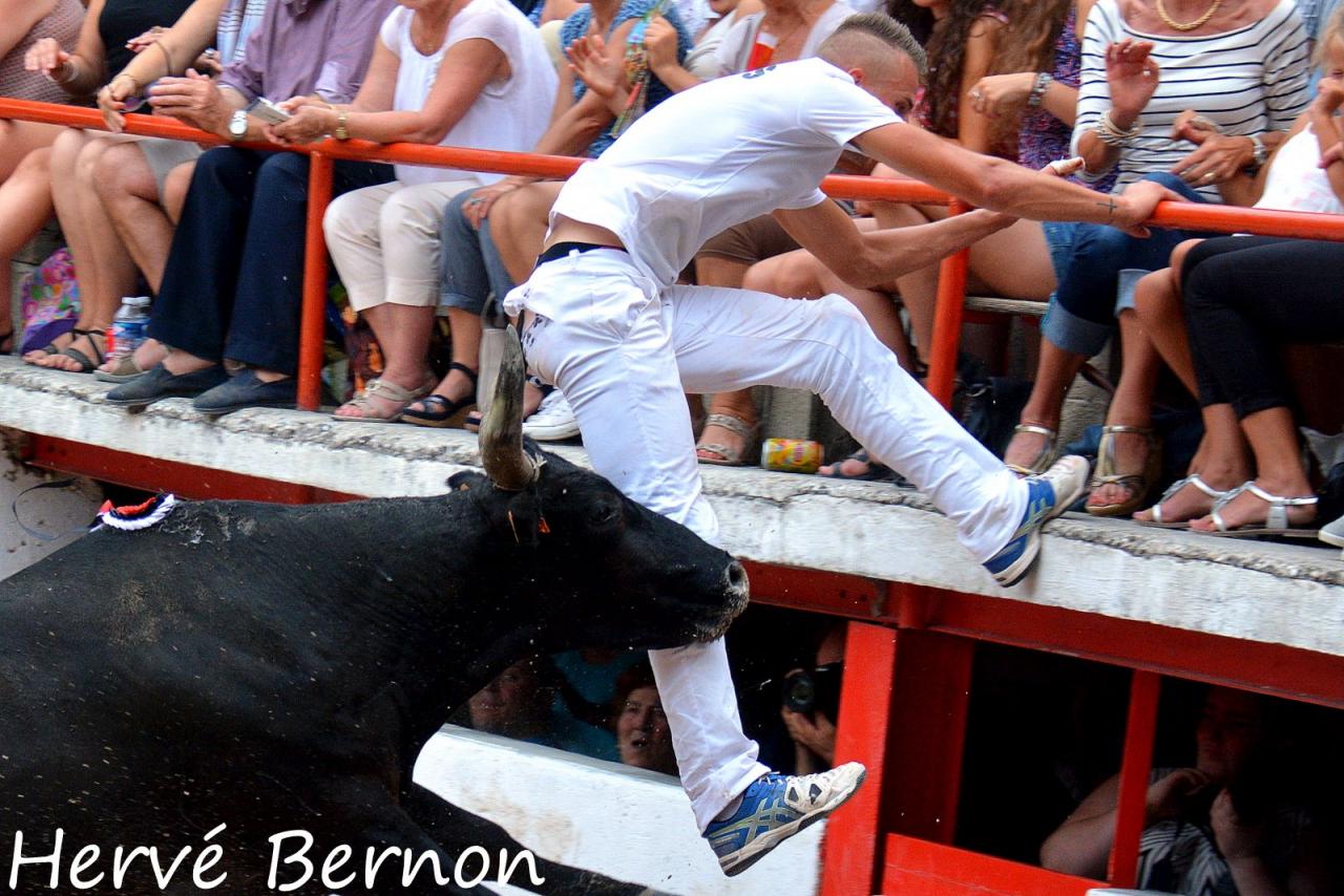 Targueur Plo Joey Deslys