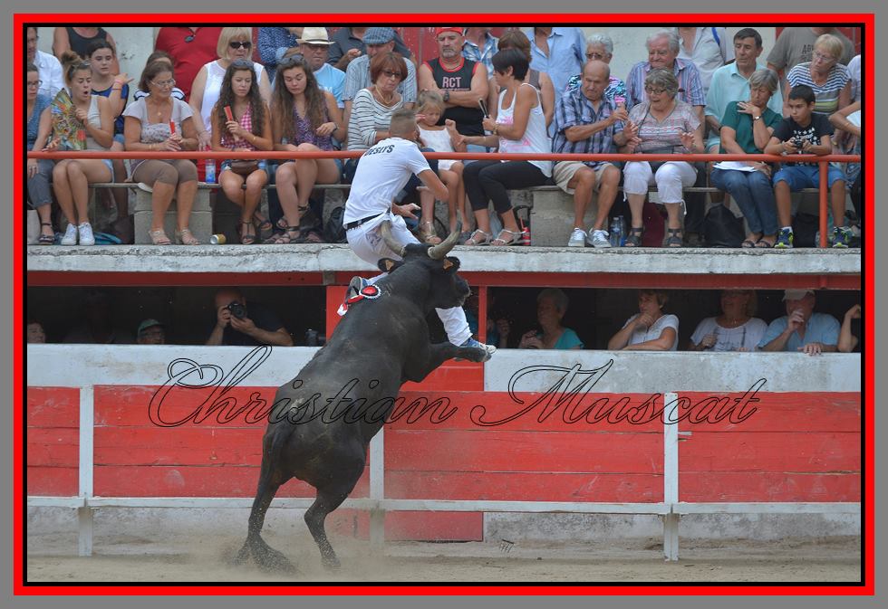 Targueur Plo joey deslys04 09 16(Christian Muscat)