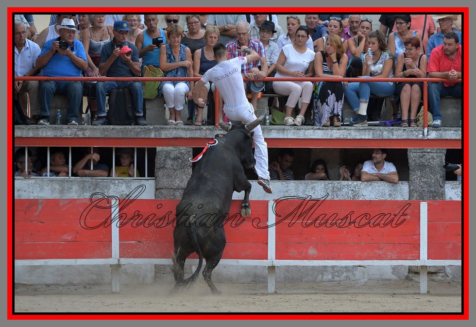 Targueur Ploenzo bernard 04 09 16(Christian Muscat)