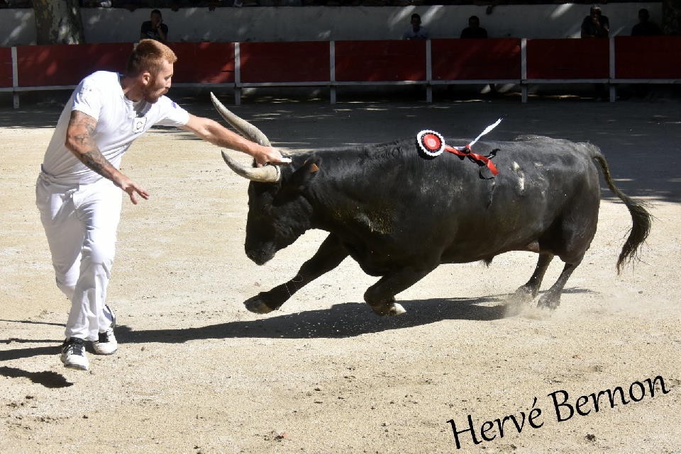 Teissoun de plo nicolas favier 02 09 18