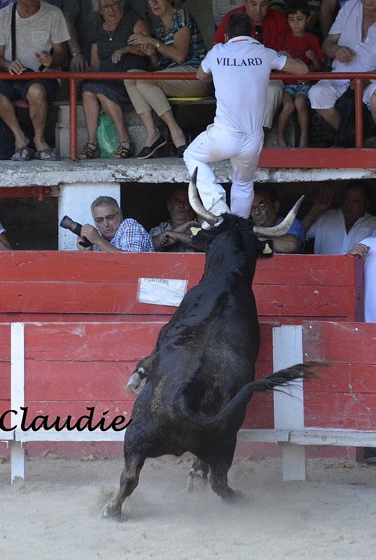 Templier RICARD B VILLARD  09 08 15
