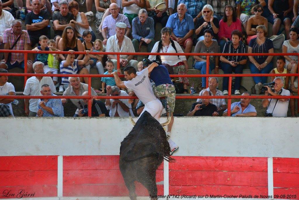 Templier Ricard D M Cochet 09-08-15