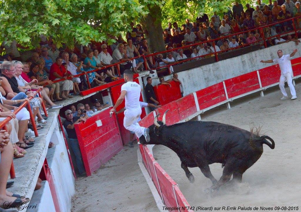 Templier Ricard R Errick 09-08-15