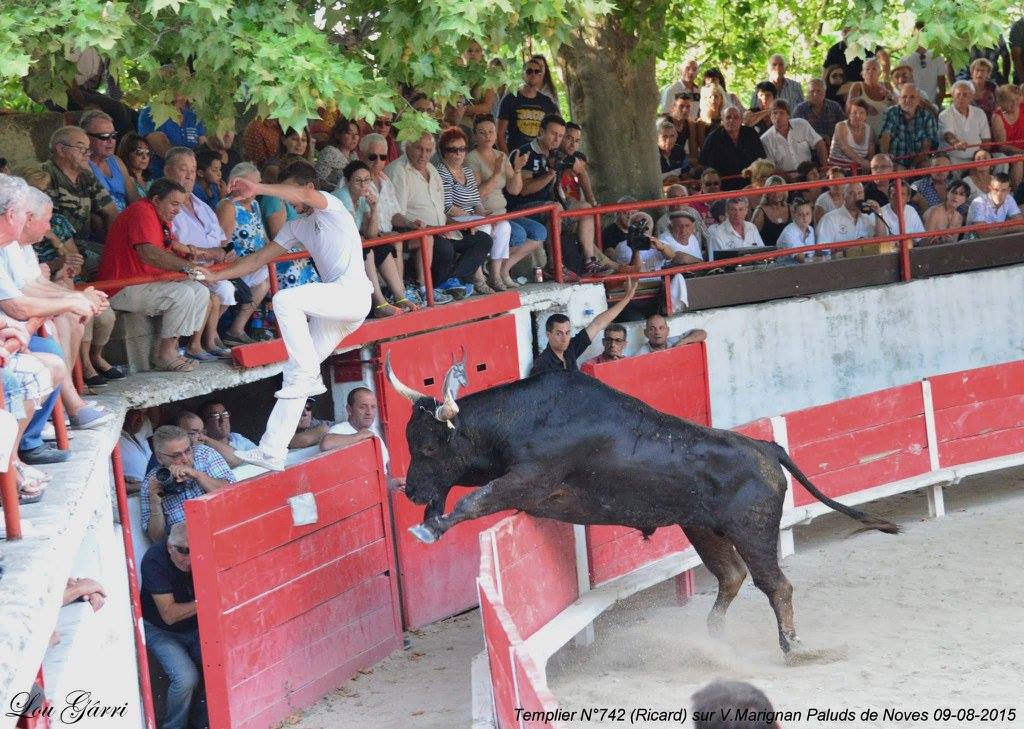 Templier Ricard v Marignan 09-08-2015