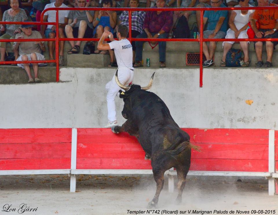 Templier Ricard Vincent MARIGNAN 9-08-2015