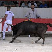 Ugolin lautier h dunan