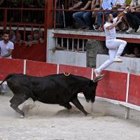 Ugolin lautier n desfonds