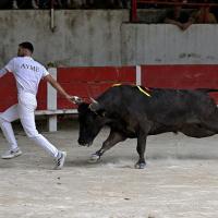 Ugolin lautier q aymes