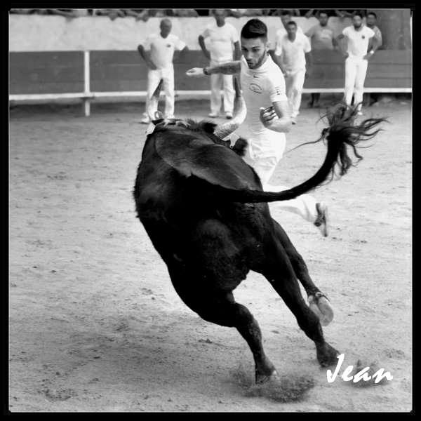 Vincent Marignan (3)