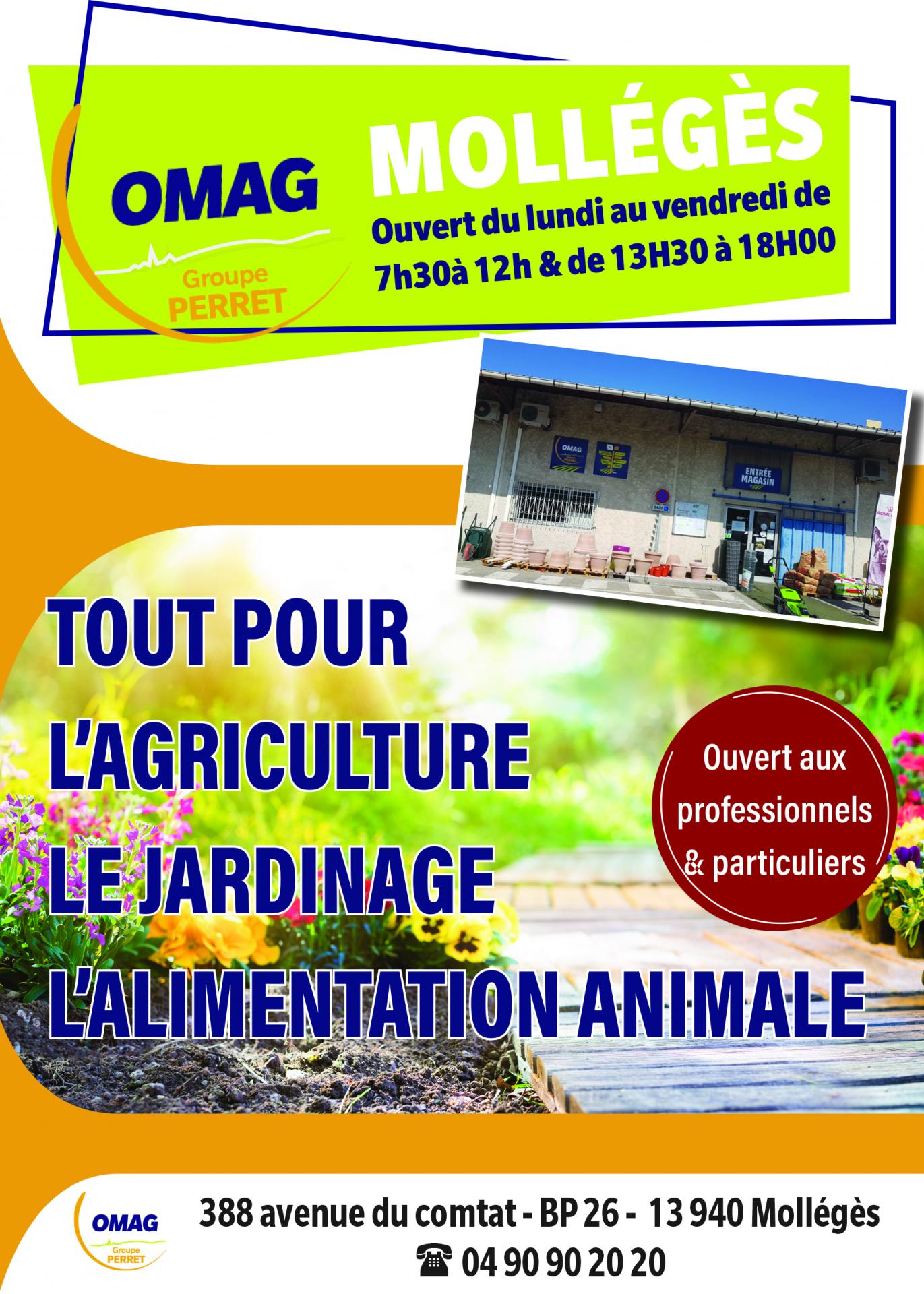 Affiche omag site club taurin paluds 1